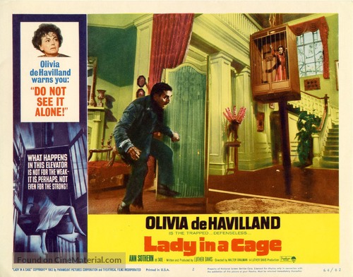 Lady in a Cage - poster