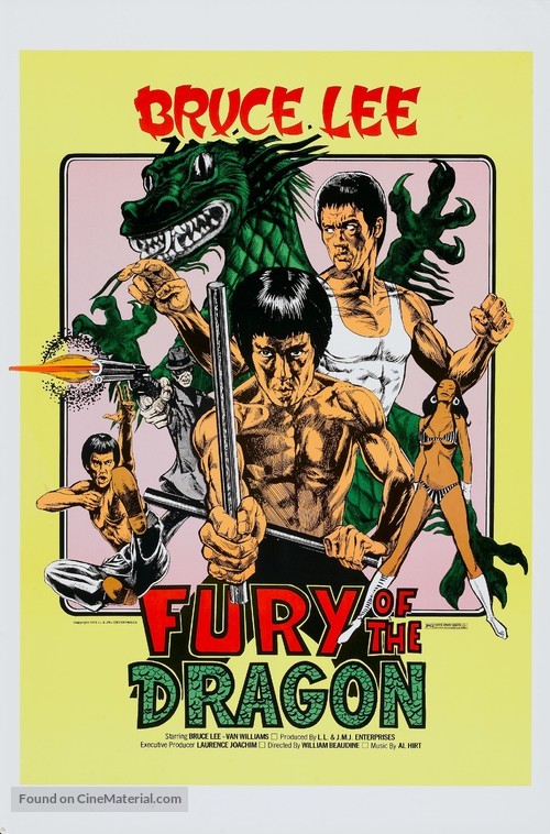 Fury Of The Dragon - Movie Poster