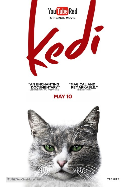 Kedi - Movie Poster