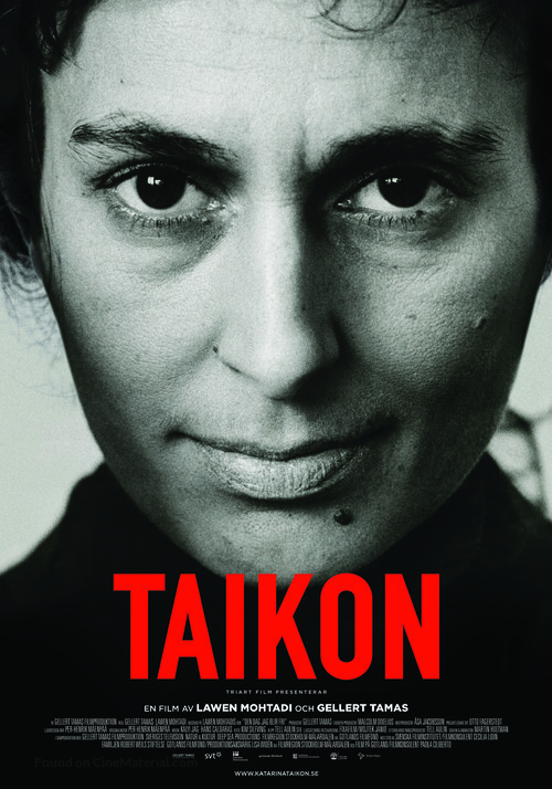 Taikon - Swedish Movie Poster
