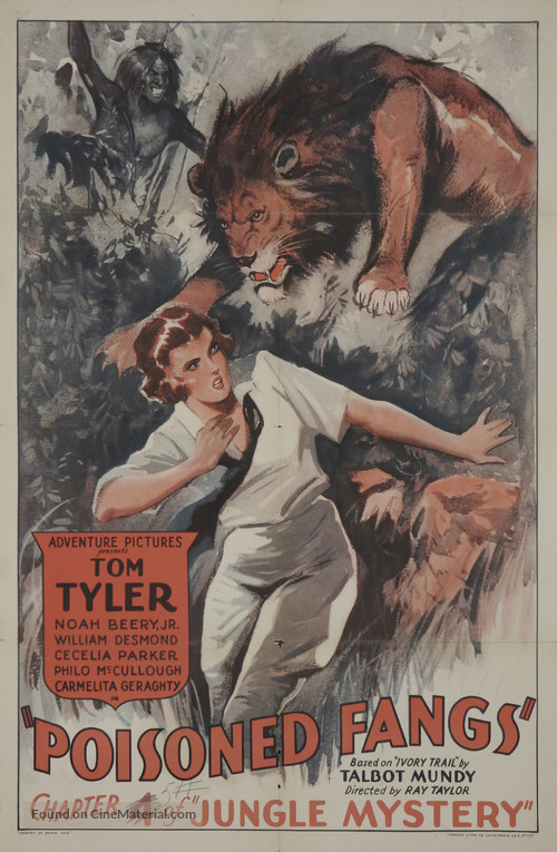 The Jungle Mystery - Movie Poster