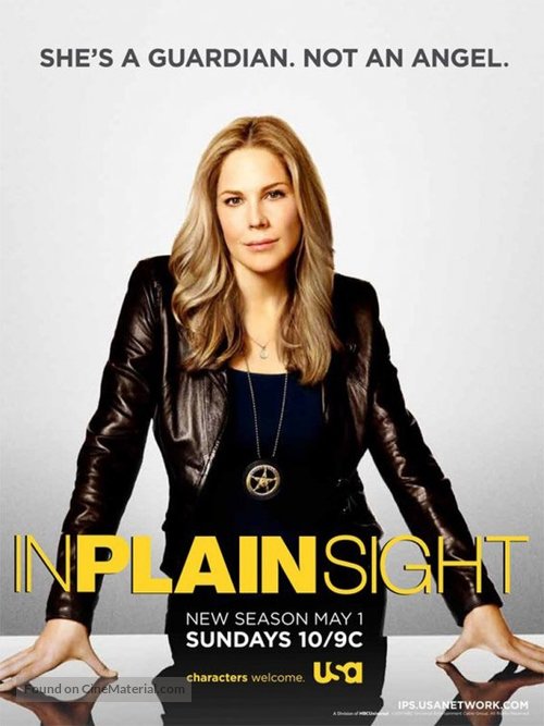 &quot;In Plain Sight&quot; - Movie Poster