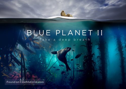 Blue Planet II - British Video on demand movie cover