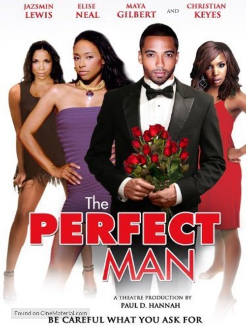 The Perfect Man - Movie Poster