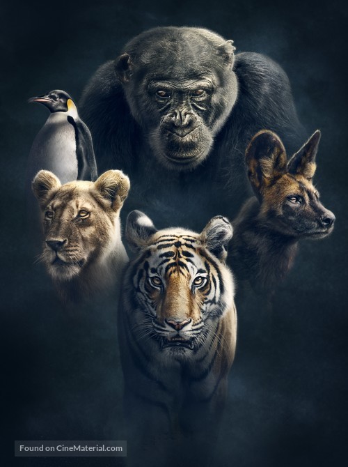 &quot;Dynasties&quot; - Key art