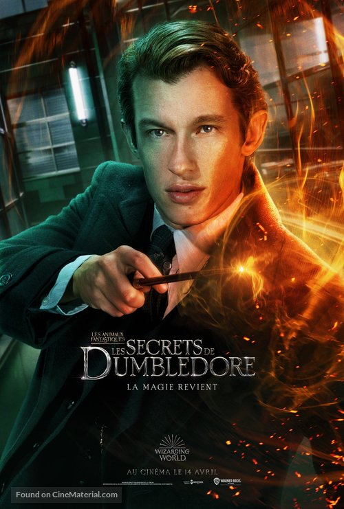 Fantastic Beasts: The Secrets of Dumbledore - French Movie Poster