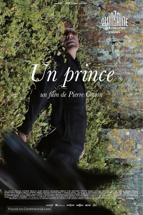 Un prince - French Movie Poster