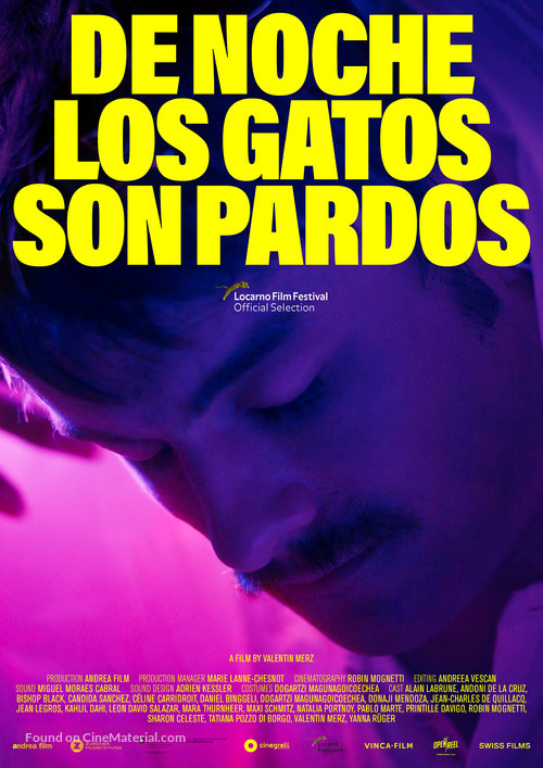 De noche los gatos son pardos - International Movie Poster