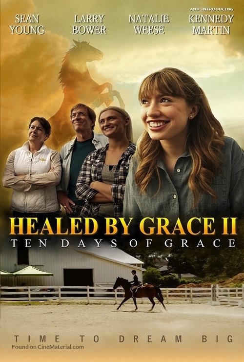 Healed by Grace 2 - Movie Cover