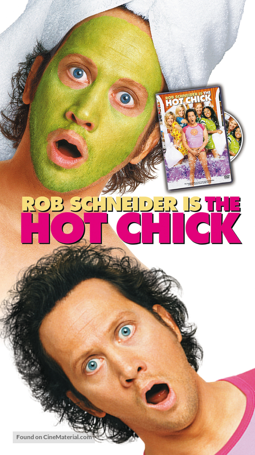The Hot Chick - Video release movie poster