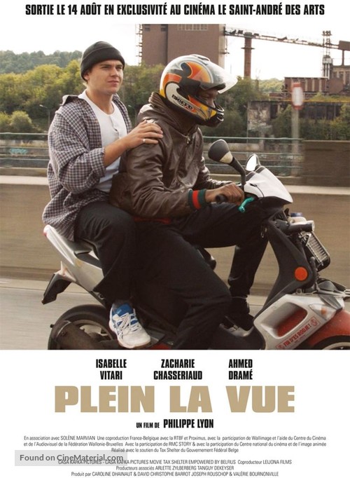 Plein la vue - French Movie Poster