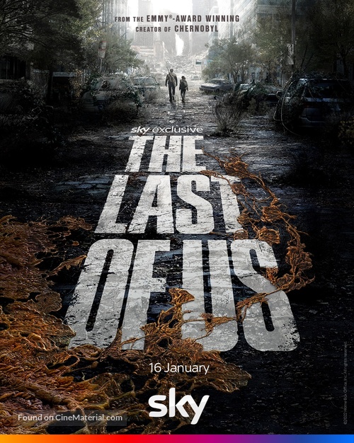 &quot;The Last of Us&quot; - Irish Movie Poster