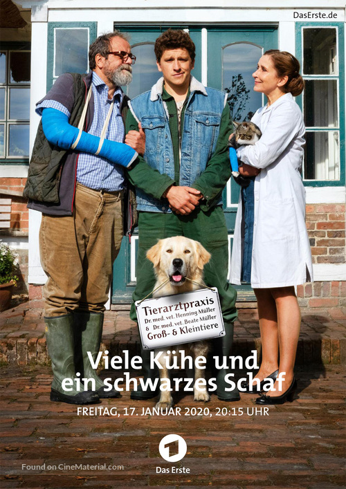 Der Doktor und der liebe Sohn - German Movie Cover
