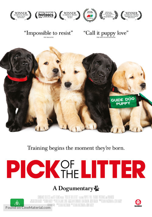 Pick of the Litter - Australian Movie Poster