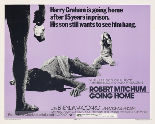 Going Home - Movie Poster