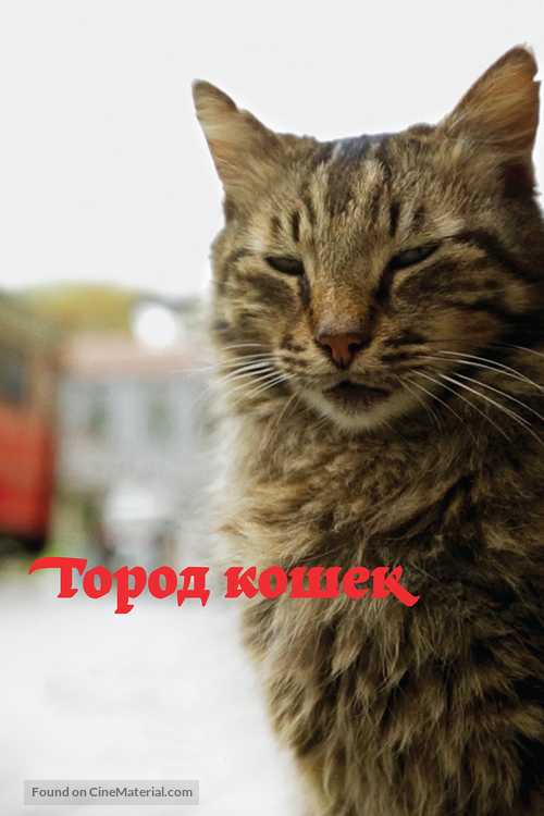 Kedi - Russian Movie Cover