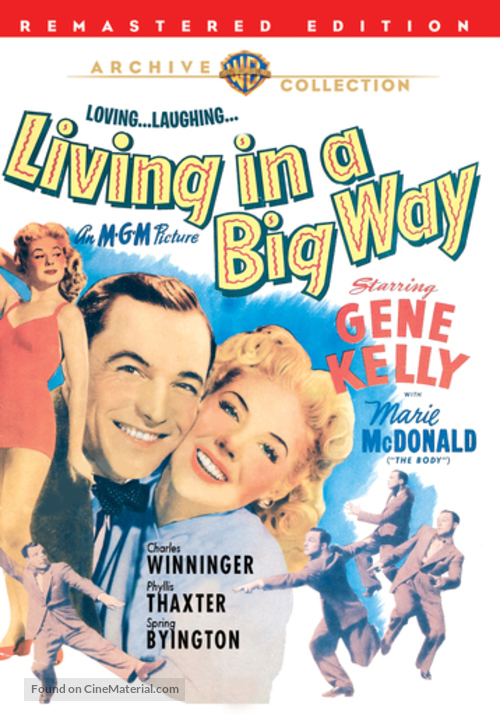 Living in a Big Way - DVD movie cover