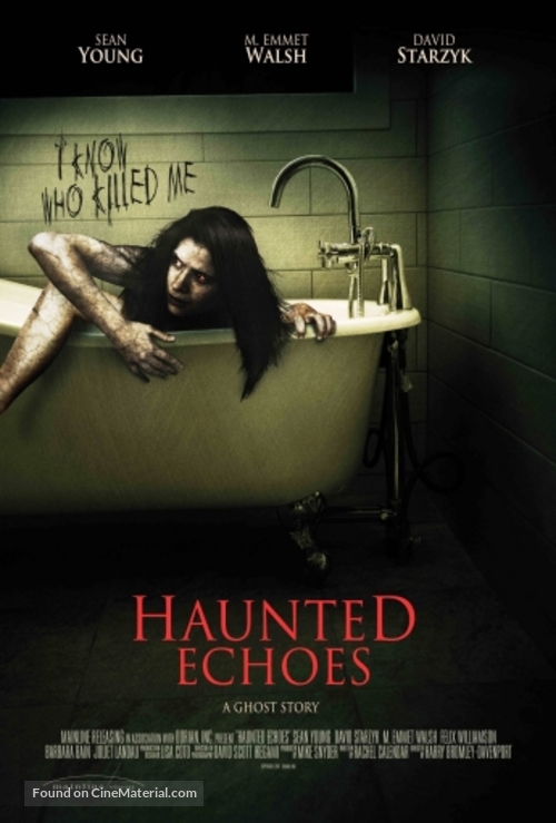 Haunted Echoes - Movie Poster