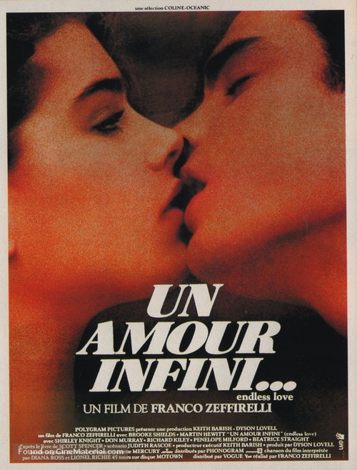 Endless Love - French Movie Poster