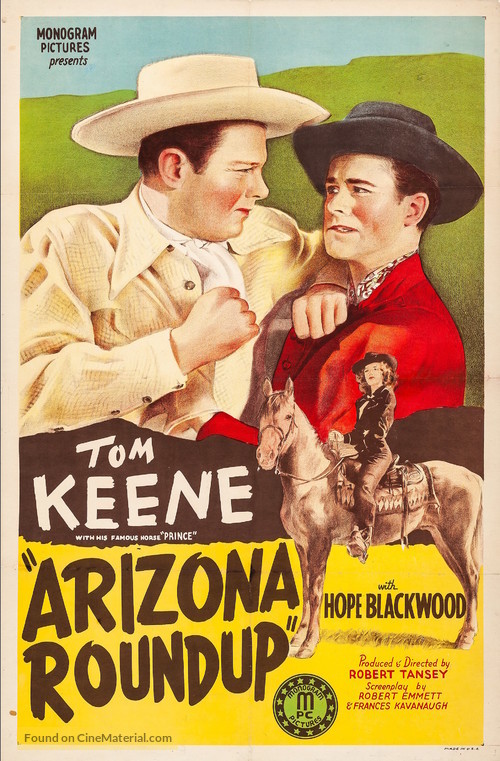 Arizona Roundup - Movie Poster