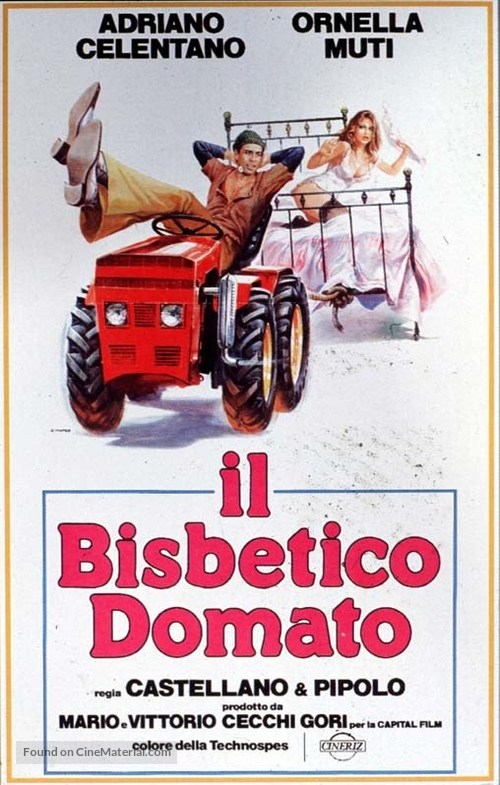 Il bisbetico domato - Italian Movie Poster