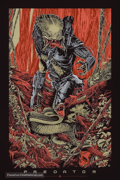 Predator - poster