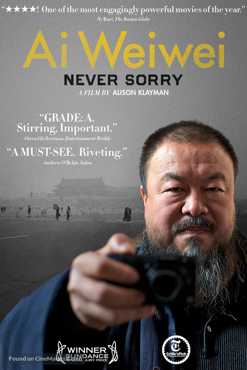 Ai Weiwei: Never Sorry - DVD movie cover