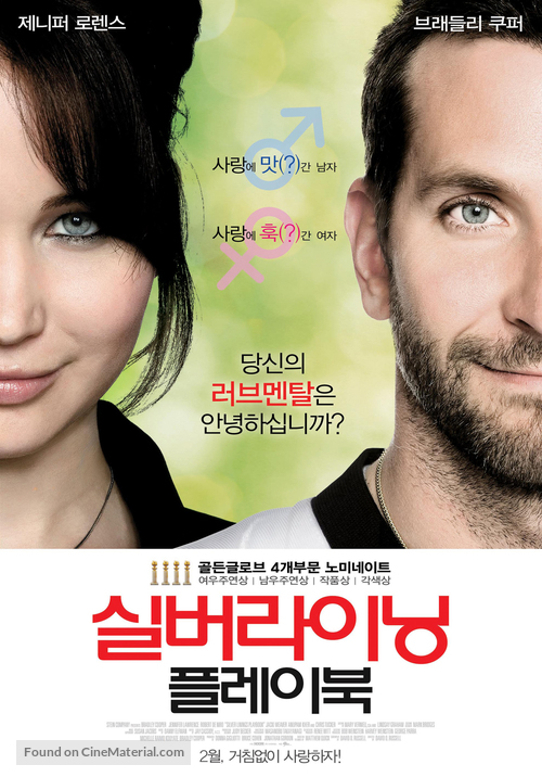 Silver Linings Playbook - South Korean Movie Poster