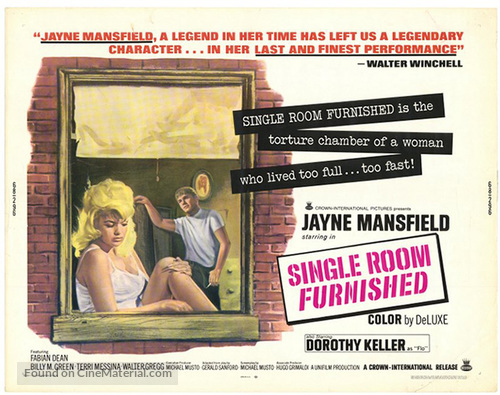 Single Room Furnished - Movie Poster