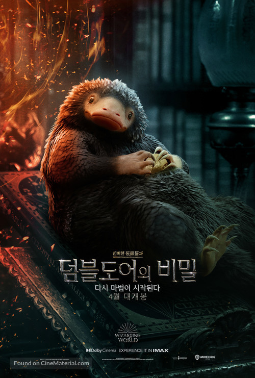 Fantastic Beasts: The Secrets of Dumbledore - South Korean Movie Poster