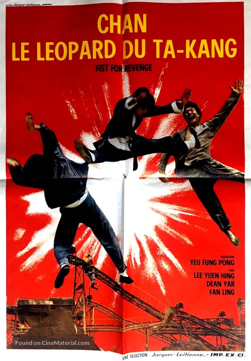 Chi shou kong quan - French Movie Poster