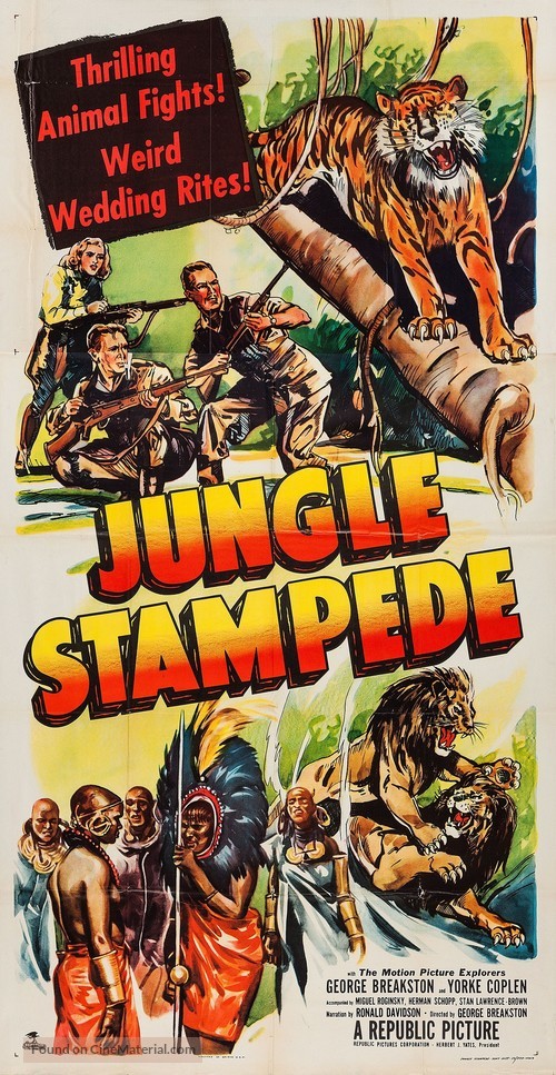 Jungle Stampede - Movie Poster