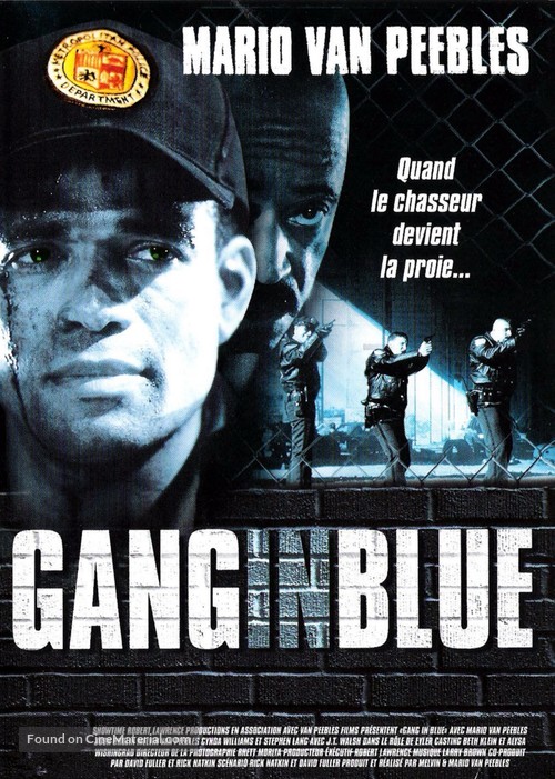 Gang in Blue - French DVD movie cover