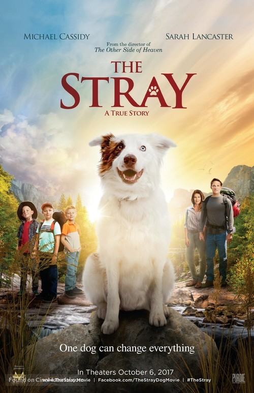 The Stray - Movie Poster