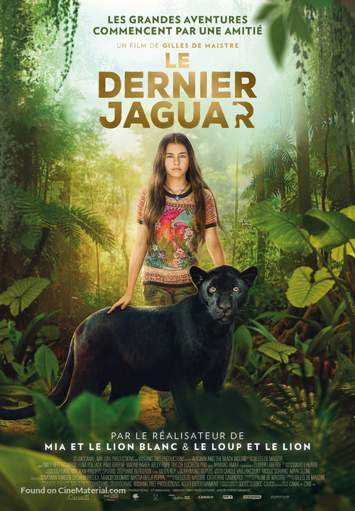 Le dernier jaguar - Swiss Movie Poster