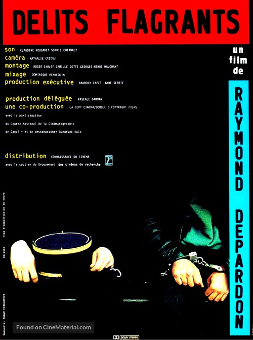 D&eacute;lits flagrants - French Movie Poster