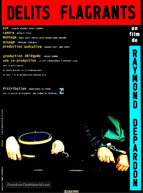 D&eacute;lits flagrants - French Movie Poster