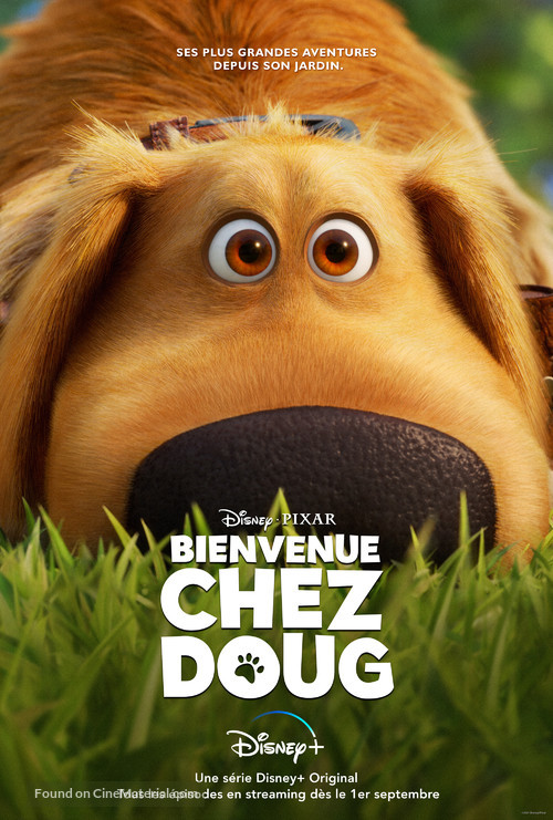 &quot;Dug Days&quot; - French Movie Poster