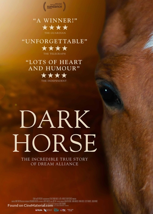 Dark Horse - British Movie Poster