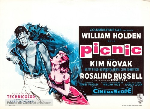Picnic - Belgian Movie Poster