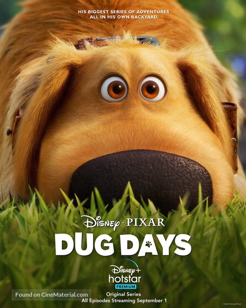 &quot;Dug Days&quot; - Indian Movie Poster