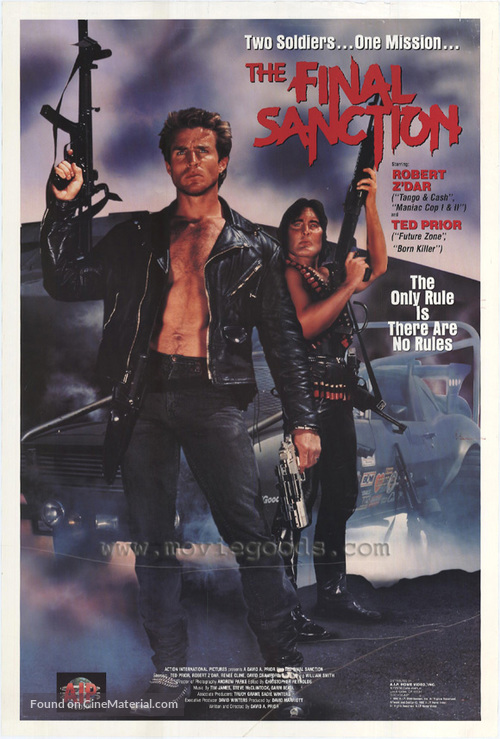 The Final Sanction - Movie Poster