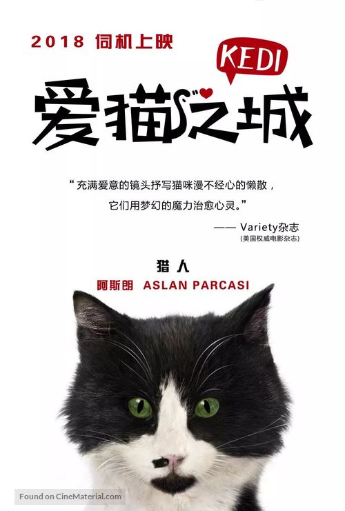 Kedi - Chinese Movie Poster