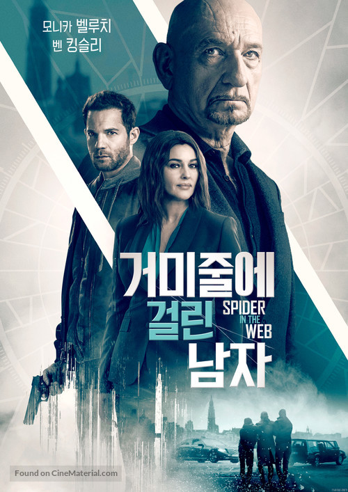 Spider in the Web - South Korean Video on demand movie cover