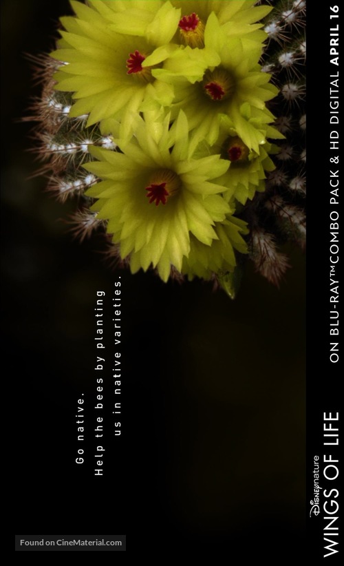 Pollen - poster