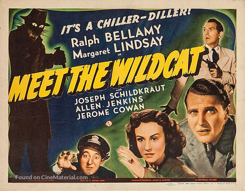 Meet the Wildcat - Movie Poster