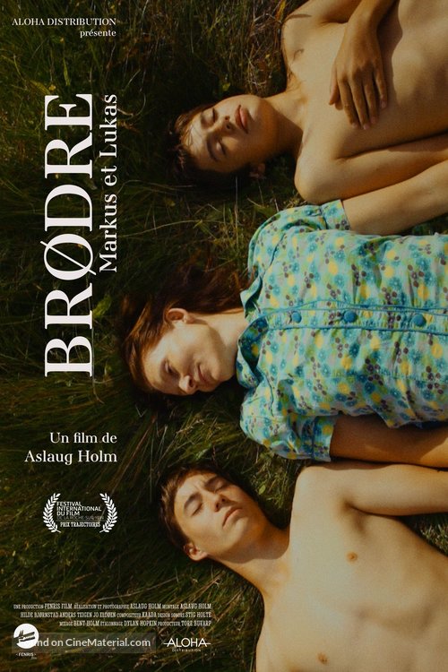 Br&oslash;dre - French Movie Poster