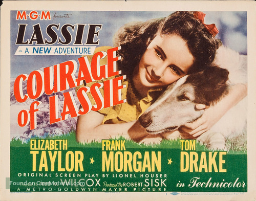 Courage of Lassie - Movie Poster