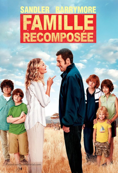 Blended - French DVD movie cover