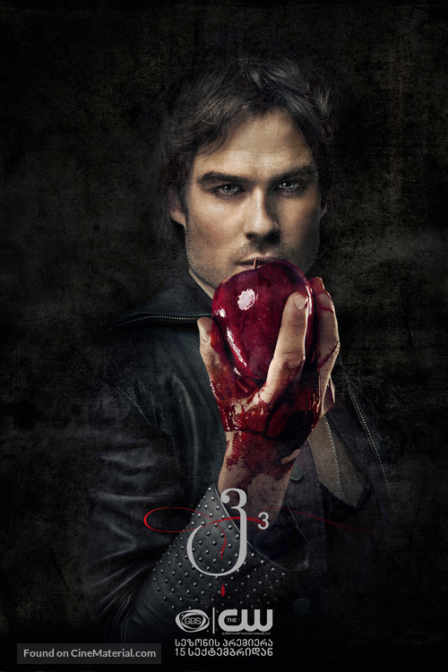 &quot;The Vampire Diaries&quot; - Georgian Movie Poster